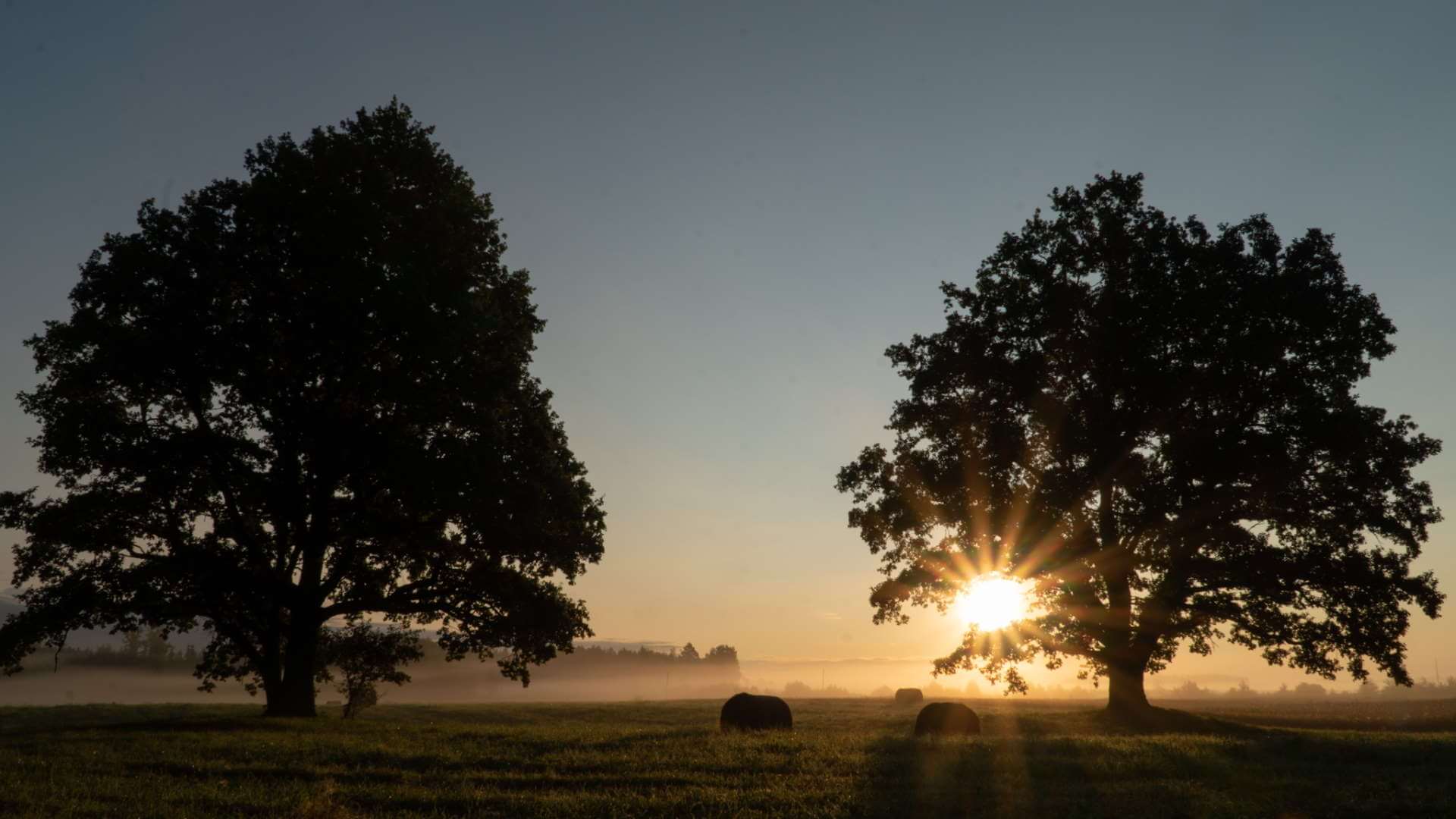 Telts mežā pie ugunskura